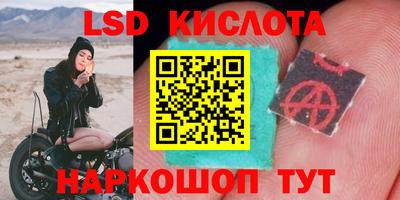 spice Ливны