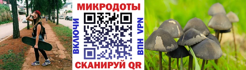 Псилоцибиновые грибы мицелий  Кудымкар 