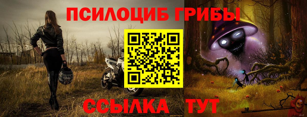 Псилоцибиновые грибы Magic Shrooms  Галлюциногенные грибы GOLDEN TEACHER  Вход с VPN  Кудымкар 